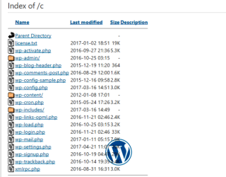 How to Fix WordPress Index of / Error