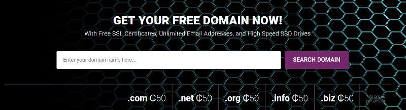 domain search bar