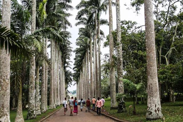 aburi botanical garden entrance